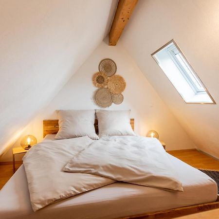 Pfaelzer Nest Apartment Pleisweiler-Oberhofen Екстериор снимка